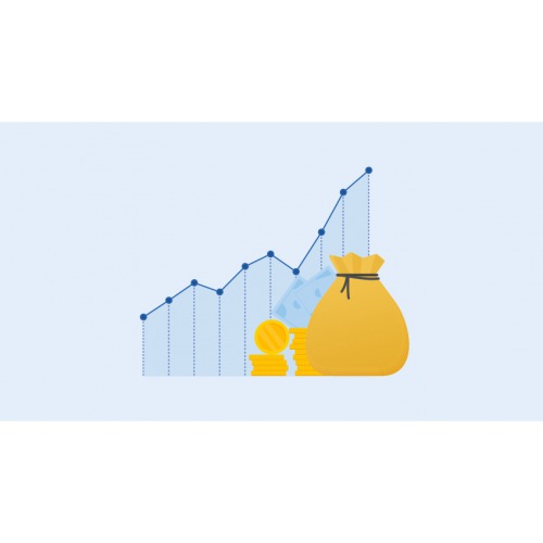 Difference between Profit Vs. Profitability